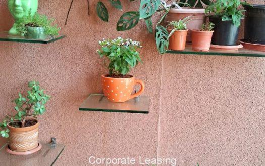 1 BHK Flats in Wakad for Rent