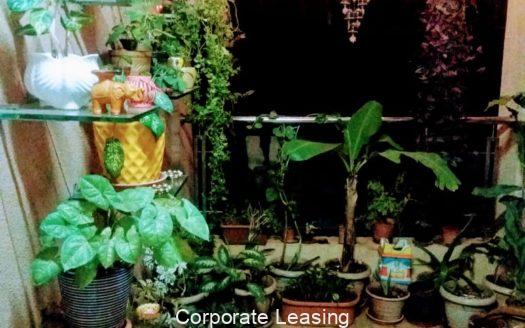 1 BHK Flats in Wakad for Rent